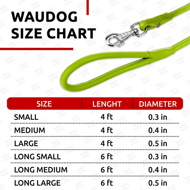 WAUDOG Rolled Leather Dog Leash 4Ft * 0.3 in for Small Medium and Large Dogs Heavy Duty Leather Puppy Leash for Outdoor Walking Running Training Strong Dog Leashes for Large Breed Dogs (Green)