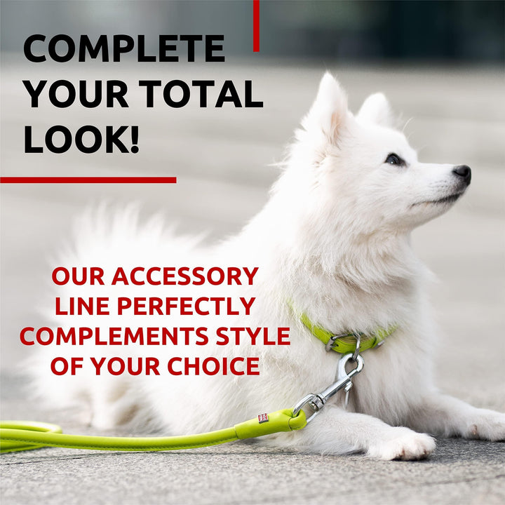 WAUDOG Rolled Leather Dog Leash 4Ft * 0.3 in for Small Medium and Large Dogs Heavy Duty Leather Puppy Leash for Outdoor Walking Running Training Strong Dog Leashes for Large Breed Dogs (Green)