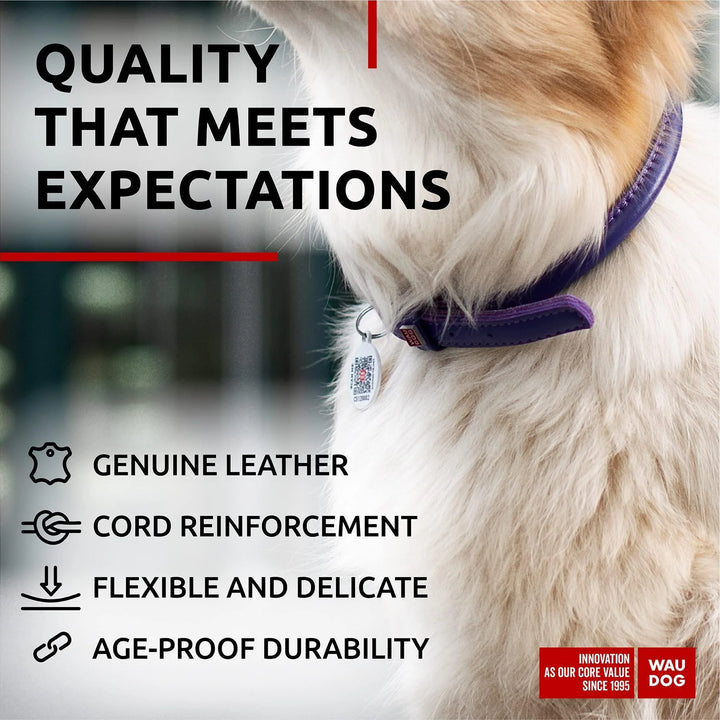 Ultra Soft Rolled Leather Dog Collar for Small Dogs 13 16 Inch Neck Soft