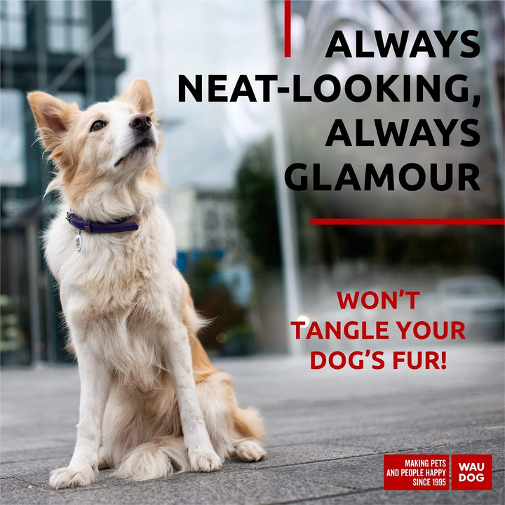 Ultra Soft Rolled Leather Dog Collar for Small Dogs 13 16 Inch Neck Soft