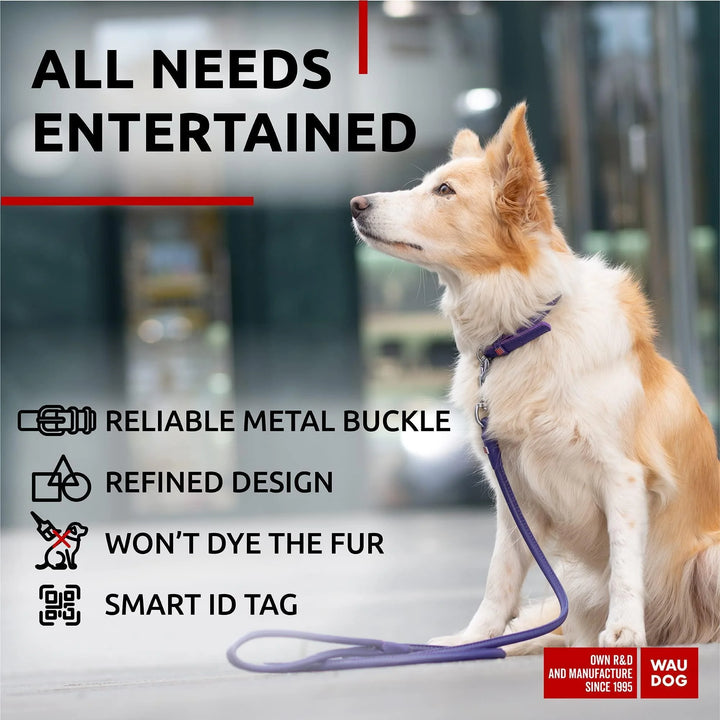 Ultra Soft Rolled Leather Dog Collar for Small Dogs 13 16 Inch Neck Soft