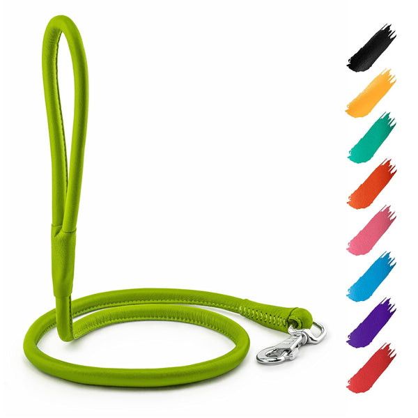 WAUDOG Rolled Leather Dog Leash 4Ft * 0.3 in for Small Medium and Large Dogs Heavy Duty Leather Puppy Leash for Outdoor Walking Running Training Strong Dog Leashes for Large Breed Dogs (Green)