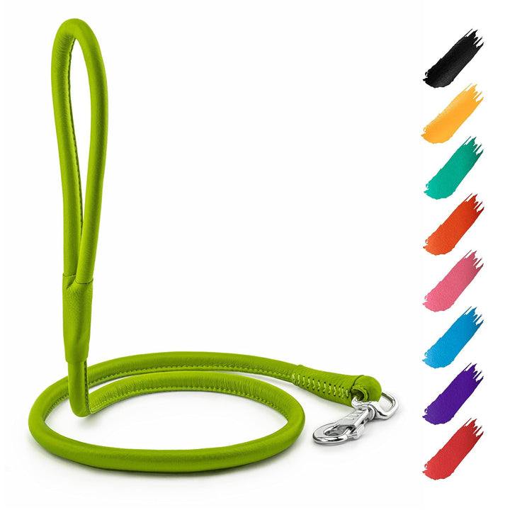 WAUDOG Rolled Leather Dog Leash 4Ft * 0.3 in for Small Medium and Large Dogs Heavy Duty Leather Puppy Leash for Outdoor Walking Running Training Strong Dog Leashes for Large Breed Dogs (Green)